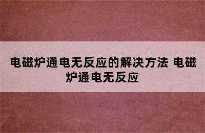 电磁炉通电无反应的解决方法 电磁炉通电无反应